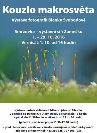 Kouzlo makrosvěta ožije na smržovském zámečku