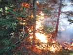 Požár lesa pod Měděncem nedaleko Nového Města pod Smrkem