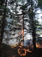 Požár lesa pod Měděncem nedaleko Nového Města pod Smrkem