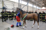 Školení hasičů na záchranu velkých zvířat
