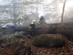 Rozsáhlý požár lesa u Raspenavy