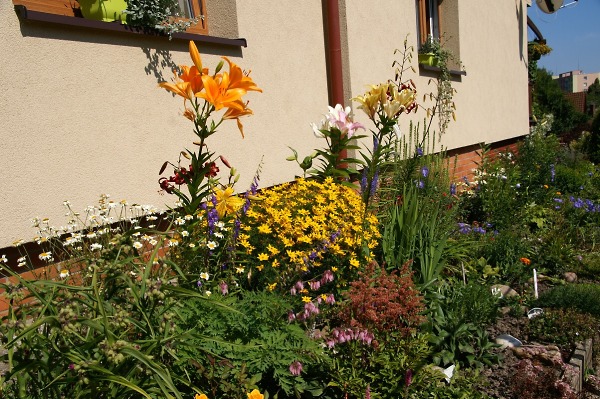 Rozkcetlý Turnov, vítězná předzahrádka Ireny Jursíkové