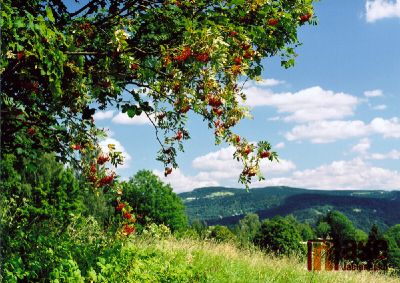 Obrazem: Fotosoutěž Zaostřeno na Jizerky