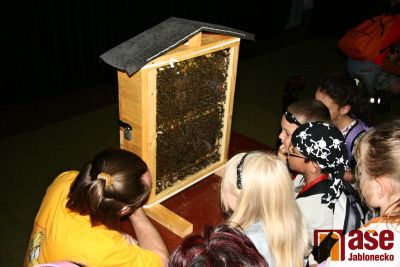 Malí včelaříci z Velkých Hamrů se žihadel nebojí
