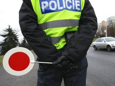 Desenský podivín zemřel, viník je neznámý