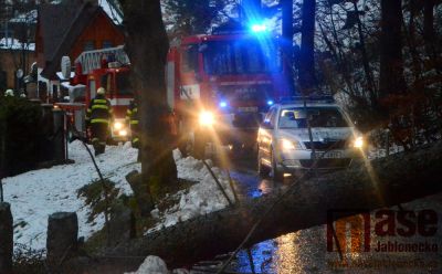Vítr v Lučanech vyvrátil strom. Část města byla do večera bez proudu