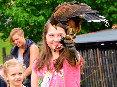 Obrazem: Rychnovské slavnosti 2016