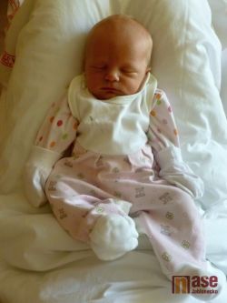 Obrazem: nově narozená miminka 15. - 18. ledna 2012