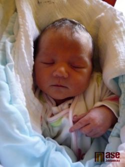 Obrazem: nově narozená miminka 4. - 7. září 2011