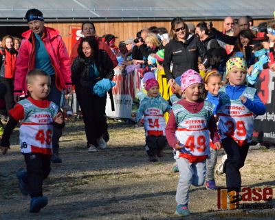 Obrazem: Mšenský přespolní běh 2015