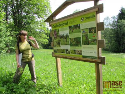 Obrazem: Orchideje na dosah!