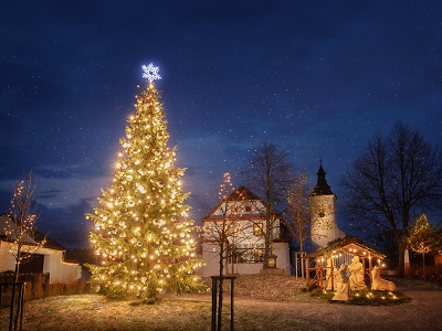 Na severu Čech díky pomoci ČEZ rozsvítili vánoční stromy ve 37 obcích