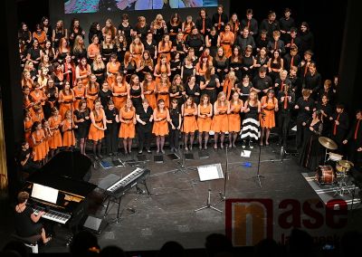 Obrazem: Narozeninová oslava IG! v městském divadle