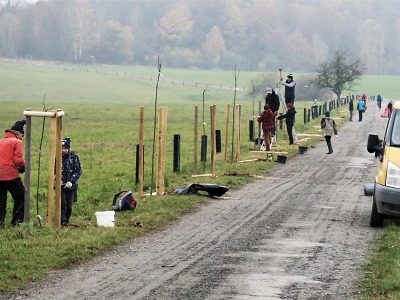 Autor foto:Archiv ČEZ/ Ota Schnepp V rámci grantu Stromy putovaly vloni na sever Čech téměř dva miliony