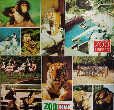 Autor foto:Archiv KÚ Libereckého kraje Historie liberecké zoo: od ptačí voliéry k bílým tygrům