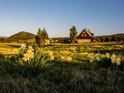 Autor foto:Archiv KÚ Libereckého kraje Safírový potok, Rašeliniště Jizery i Bukovec: na vozíčku na Jizerku