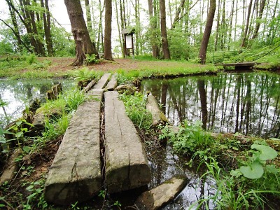 Klikatící se meandry Ploučnice prověřují schopnosti vodáků