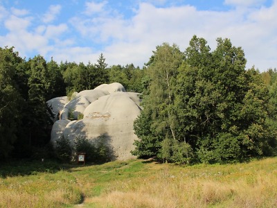Autor foto:Archiv KÚ Libereckého kraje Sloni nejsou jen v liberecké zoo. Pasou se i v Lužických horách