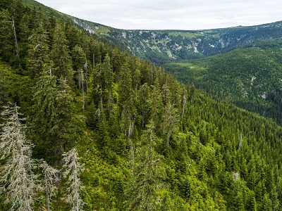 Začíná Krkonošský rok Harrachů