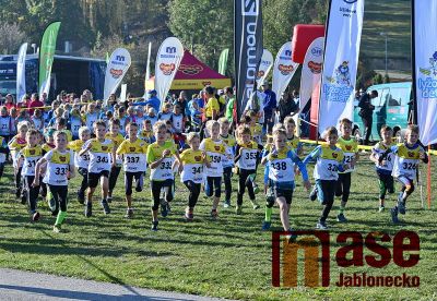 Ve Vesci se rozhodlo o nejlepších běžcích svazu lyžařů