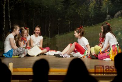 V kulturním domě Sklář se soutěžilo O Desenského medvěda