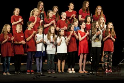 Druhý koncert žáků ZUŠ Tanvald obrazem