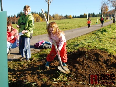 Ve čtvrtek otevřou Lesopark Na Sluneční v Příchovicích
