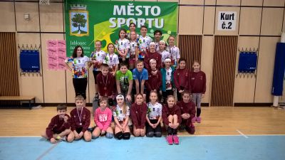 Barevný volejbal opět zaplnil městskou sportovní halu 