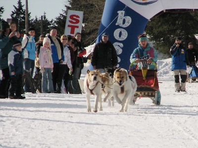 Na polské straně Krkonoš budou v lednu závodit musheři