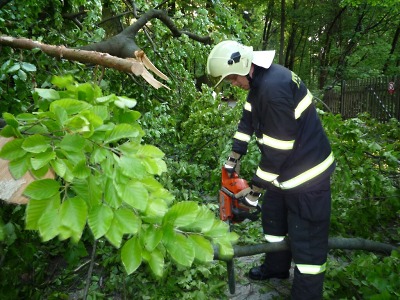Bouřka přinesla popadané stromy na Liberecku a Českolipsku