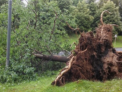 Obrazem: Škody po silné bouřce v Jablonci a okolí