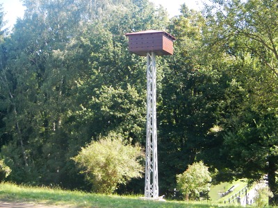 Budka pro rorýse už stojí v areálu ZŠ Arbesova v Jablonci