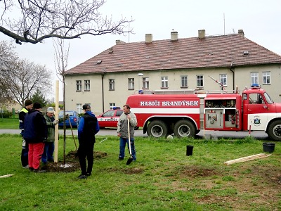 Obce a města ještě mohou žádat o grant na podzimní výsadbu
