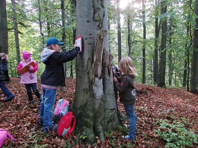 Nadace Pro Jizerské hory podpoří ekologickou výchovu dětí
