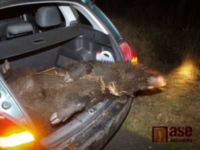 Řidič v Rádle srazil divočáka