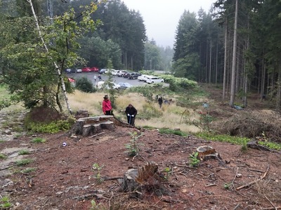 Dobrovolníci vysázeli v okolí Jablonce kus lesa