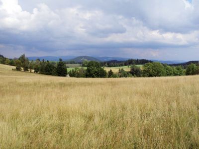 Hledají se fotografie křižovatky na Krojčenku 