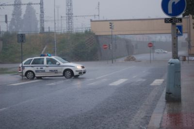 Mladí Vlci statečně bojovali s lídrem tabulky