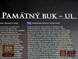 Námitky sdružení proti plánované výstavbě bytových domů v ulici V Aleji