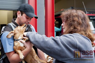 V Tanvaldě proběhlo bezplatné čipování psů
