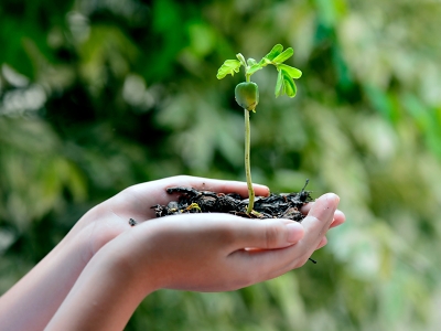 Liberecký kraj má nejvíc certifikovaných poskytovatelů ekovýchovy