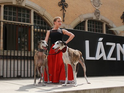 Tanečnice Marika Hanousková fotila se španělskými chrty