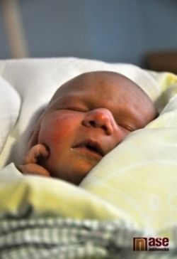 Obrazem: nově narozená miminka 14. - 18. října 2011