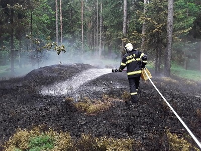 Hasiči zasahovali při požáru lesa na Prosečském hřebeni