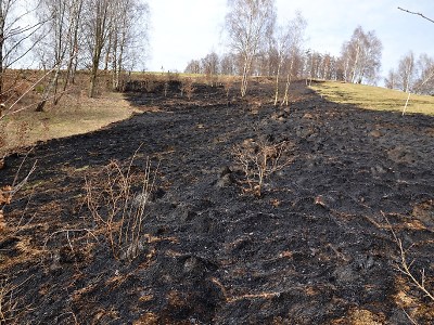 V Libereckém kraji ruší platnost opatření kvůli nebezpečí vzniku požáru