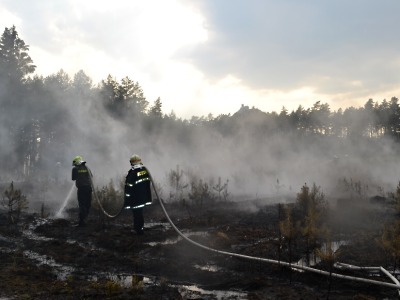 Další lesní požár vypukl pod Bezdězem