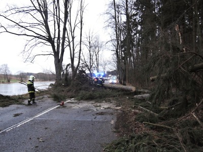 Hasiči měli mnoho výjezdů. Nápor větru nevydržel vánoční strom v Lomnici