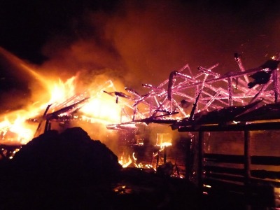 Při požáru chléva ve Sklenařicích uhynuly dvě krávy, škoda je přes milion