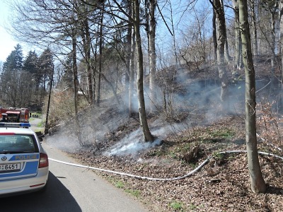 Hasiči zasahují u požárů travních a lesních porostů. Hořelo i v Tanvaldě