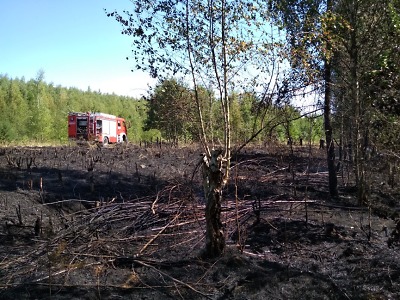 Hasiči zasahovali u deseti požárů, aktuálně hoří les ve Svojku
